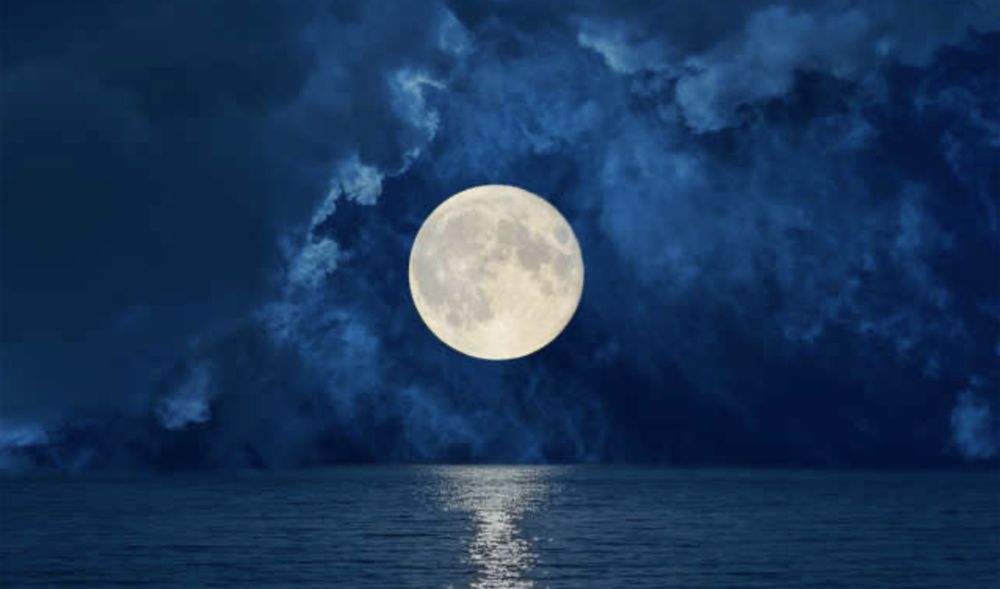 alimoon8 OnlyFans profile picture