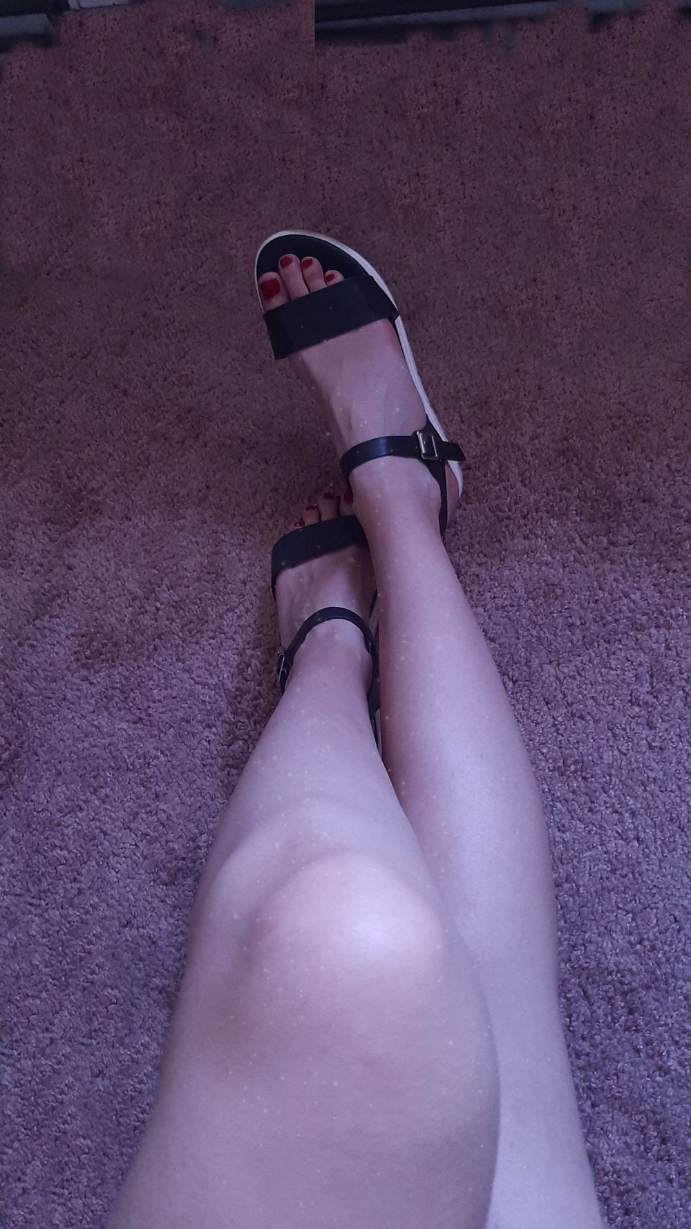 sexxylegss OnlyFans profile picture