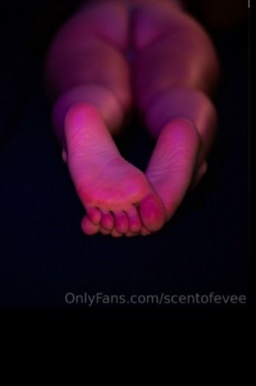 scentofevee OnlyFans profile picture
