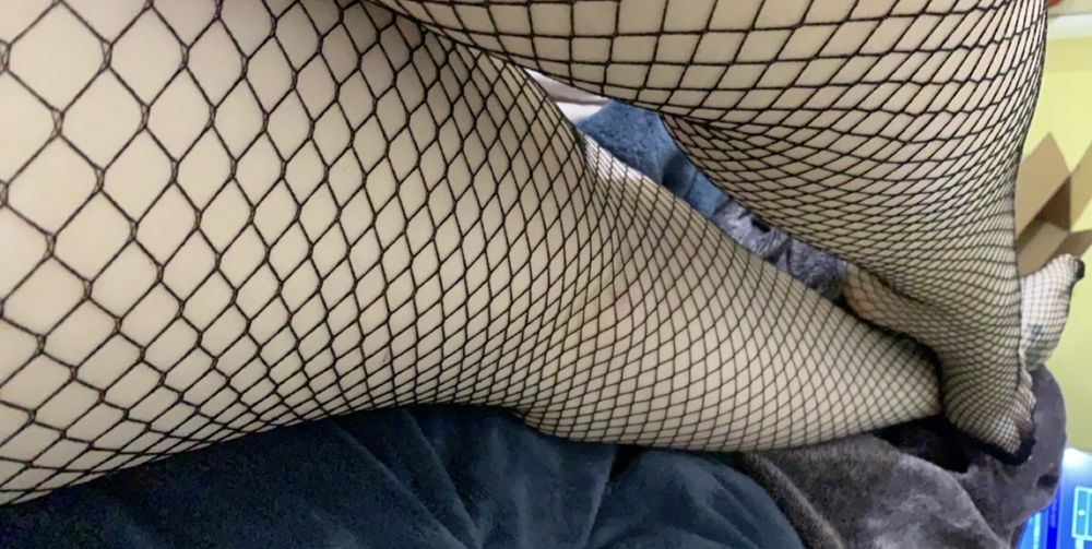 notsostrictly OnlyFans profile picture