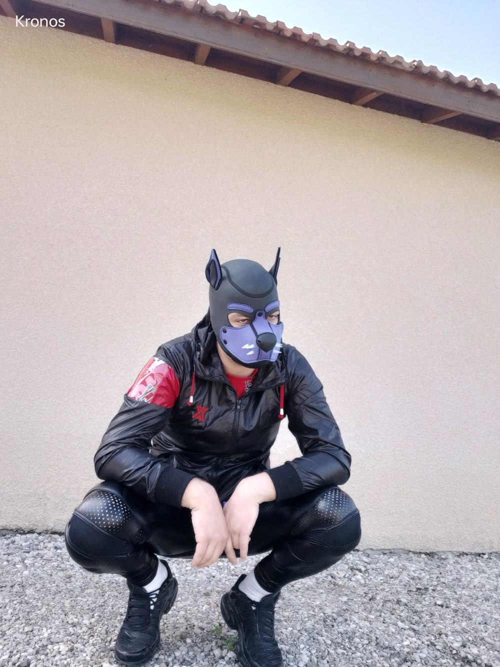 koga26140 OnlyFans profile picture