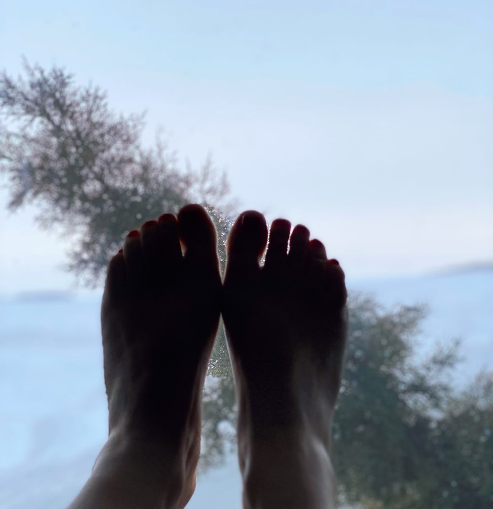 myfeet2u1 OnlyFans profile picture