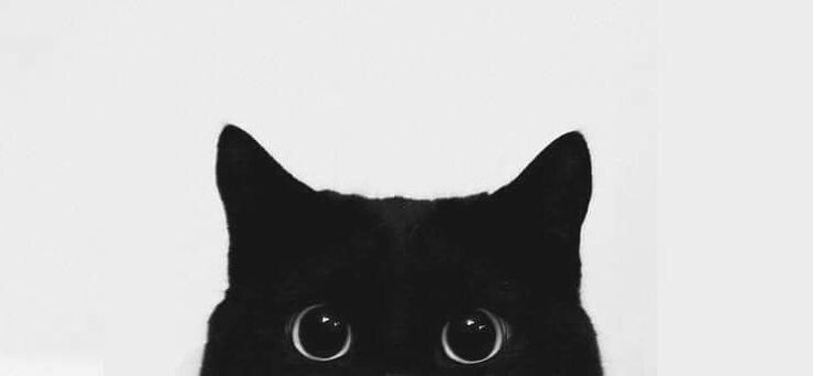 johnson1535 OnlyFans profile picture