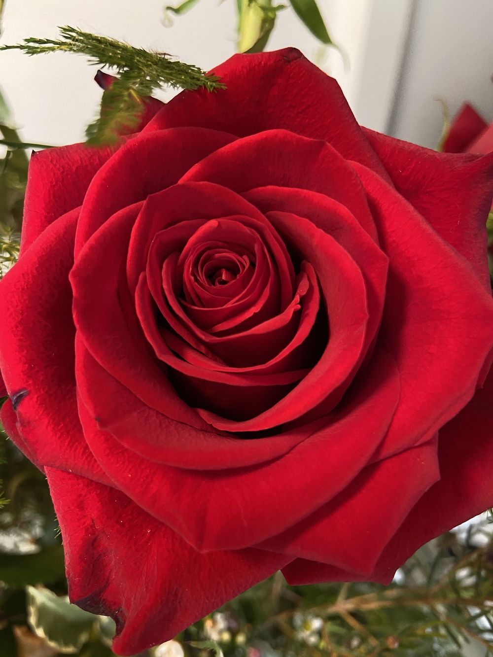 sapphirerose99 OnlyFans profile picture