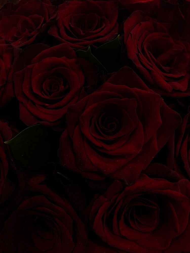 wishingatnight OnlyFans profile picture