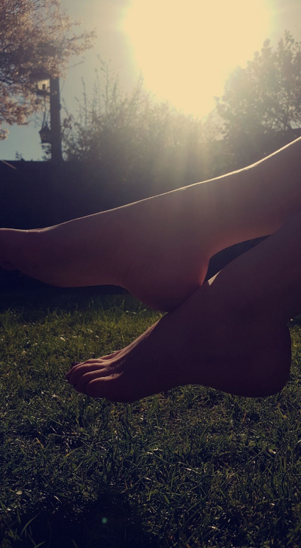 barefoot.bunny22 OnlyFans profile picture