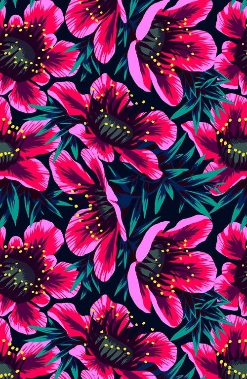 mysticsucculent OnlyFans profile picture