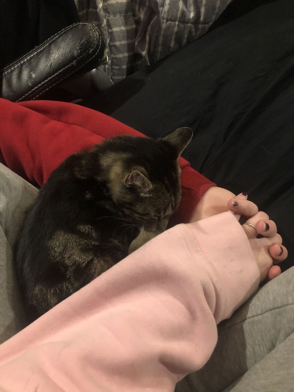 lesbianpimps OnlyFans profile picture