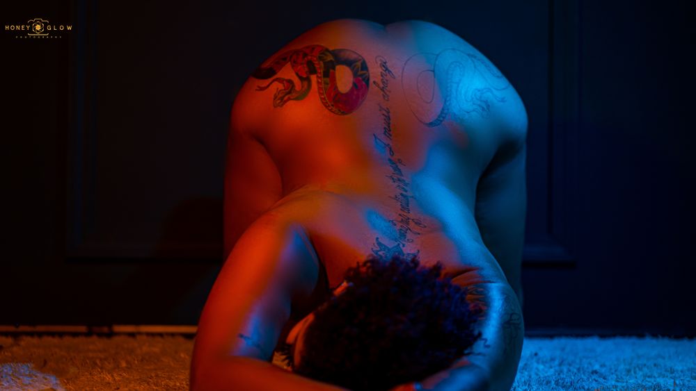 officialvixenn OnlyFans profile picture