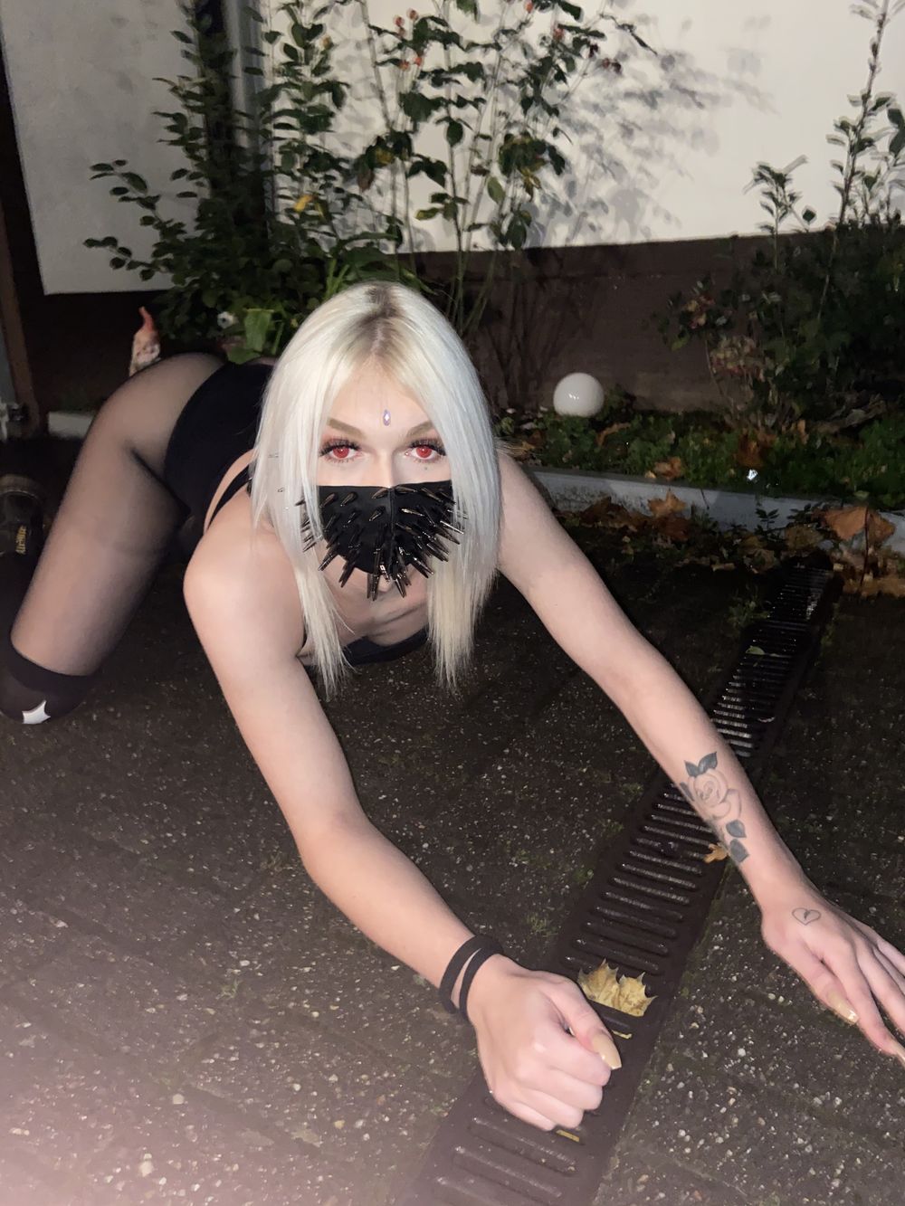 amy_ko99 OnlyFans profile picture