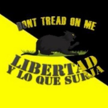 libertadyloquesurja OnlyFans picture