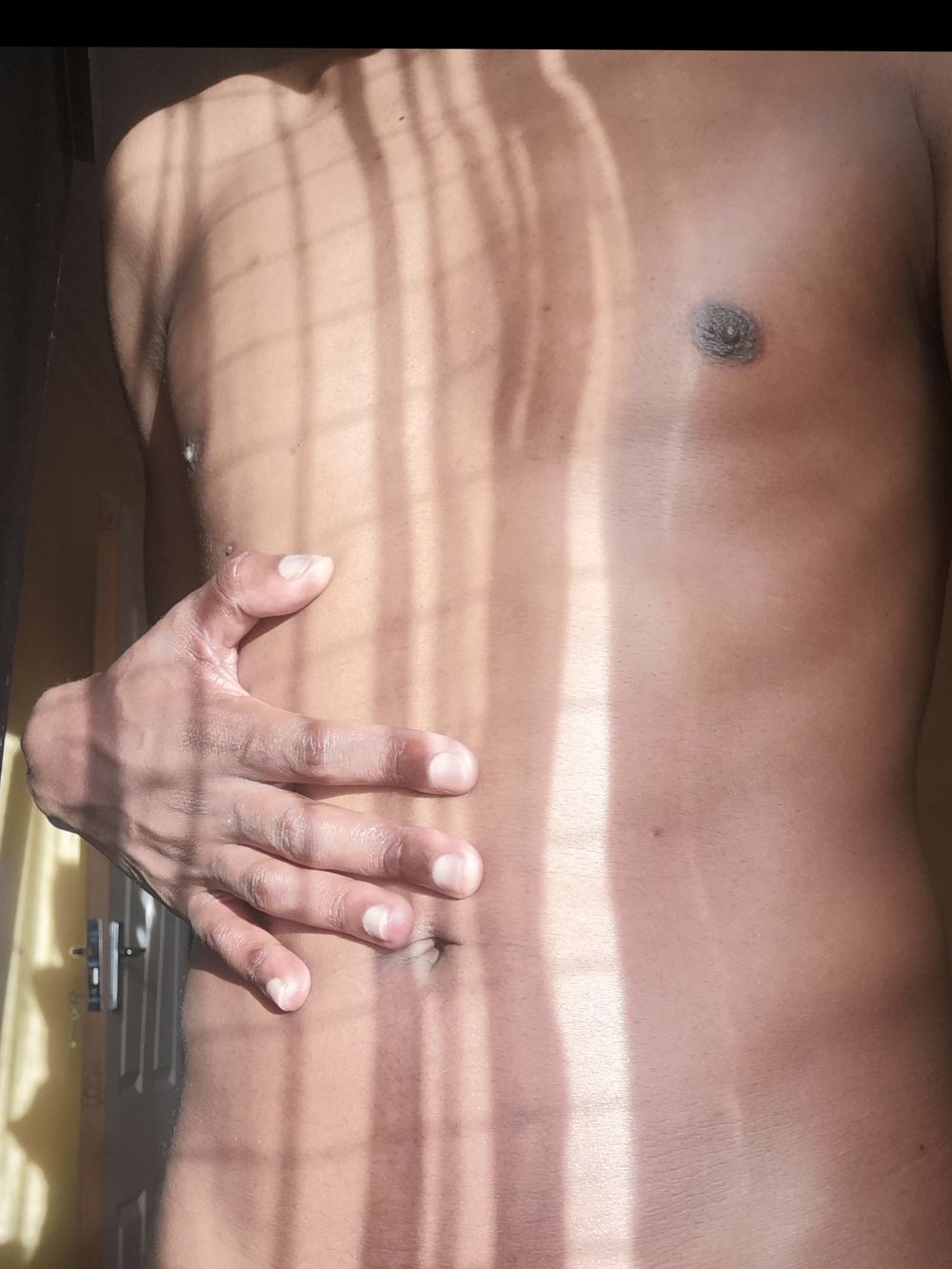 ansifuxx OnlyFans profile picture