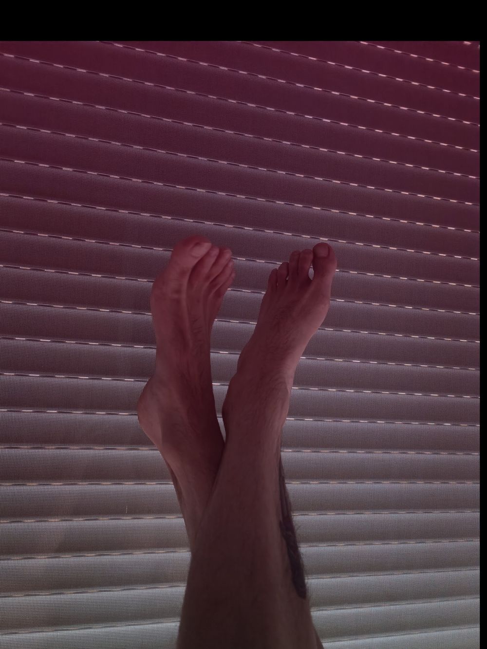 yourballerinafeet OnlyFans profile picture