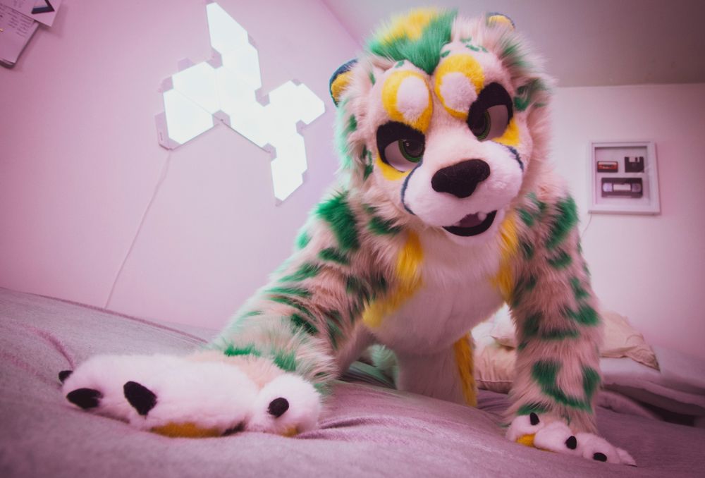 somenoodle OnlyFans profile picture