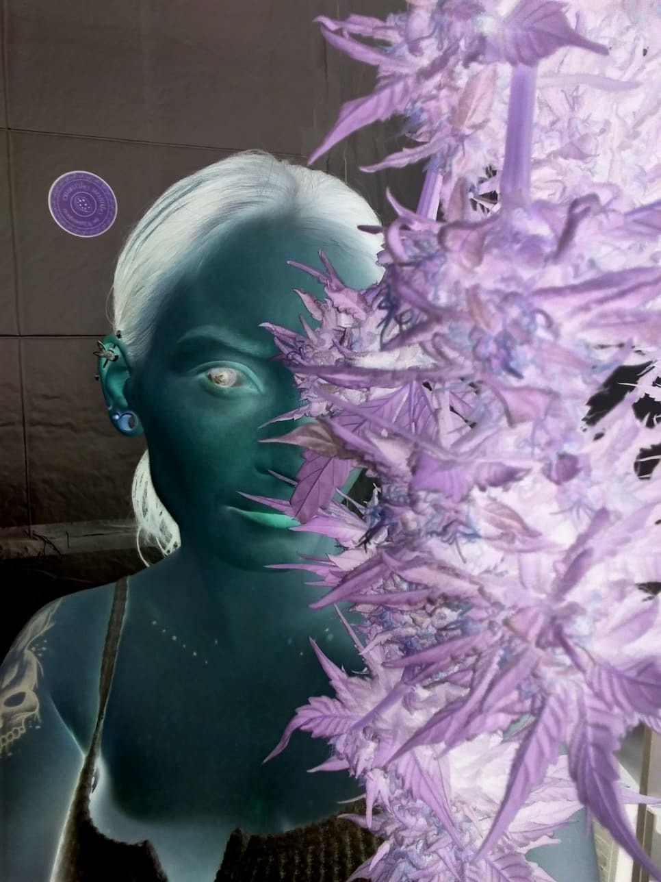 violet_storm_risque OnlyFans profile picture