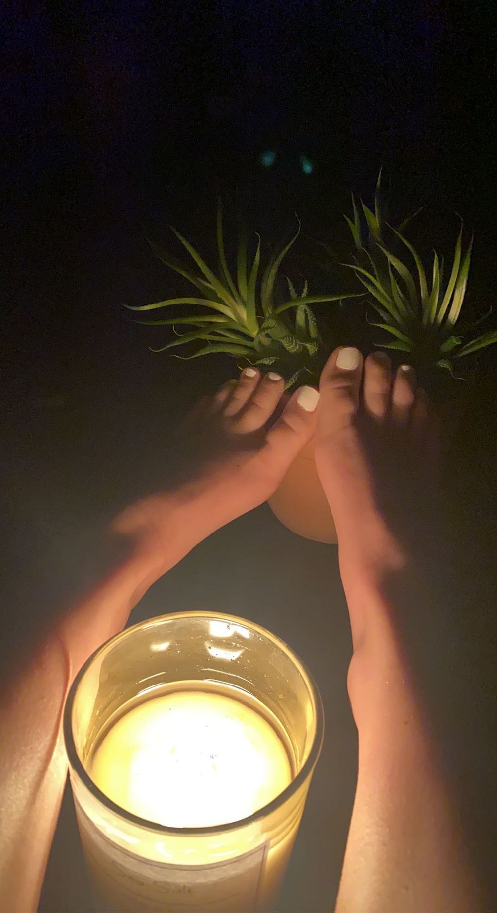 tiffanystasteytoes OnlyFans profile picture