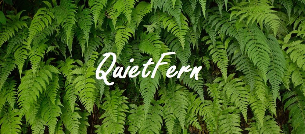 quietfern OnlyFans profile picture