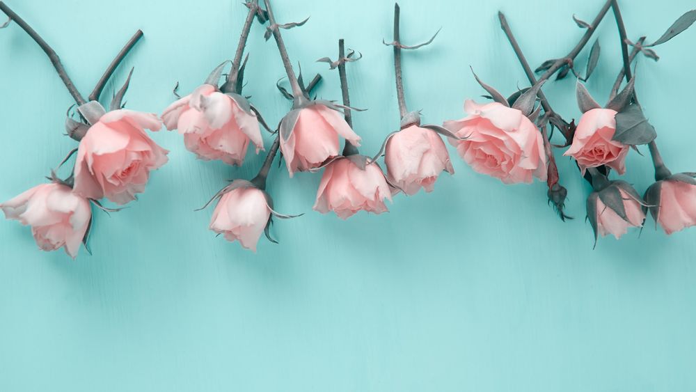 🔥 Skylerlo: 910 photos & 148 videos 🔥 - Only Fanaticos