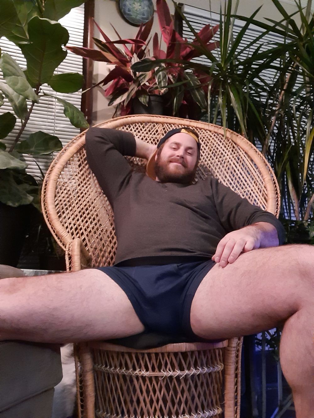 plantcub OnlyFans profile picture