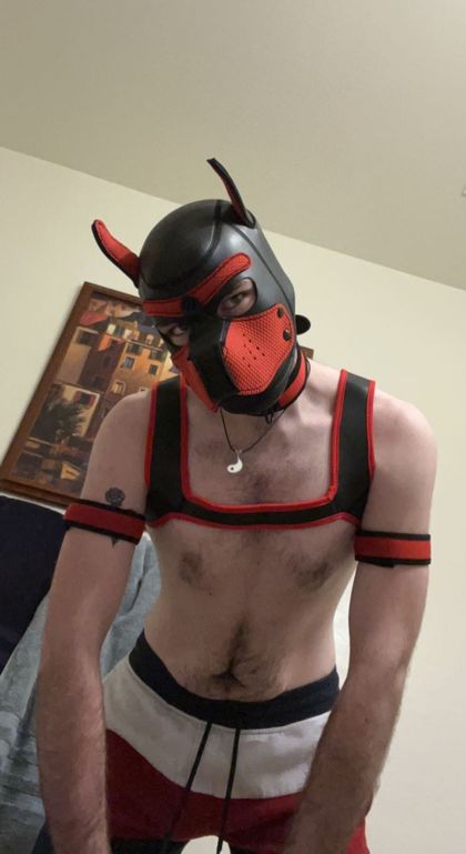 willmfdavis OnlyFans picture