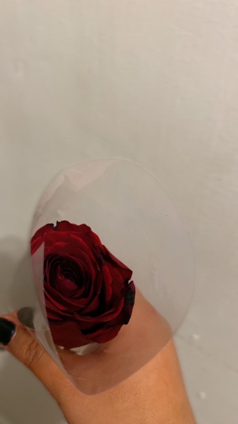 u226898019 OnlyFans profile picture