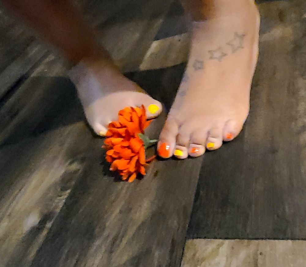 pressureliciousbarbie OnlyFans profile picture