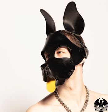Pup Davey