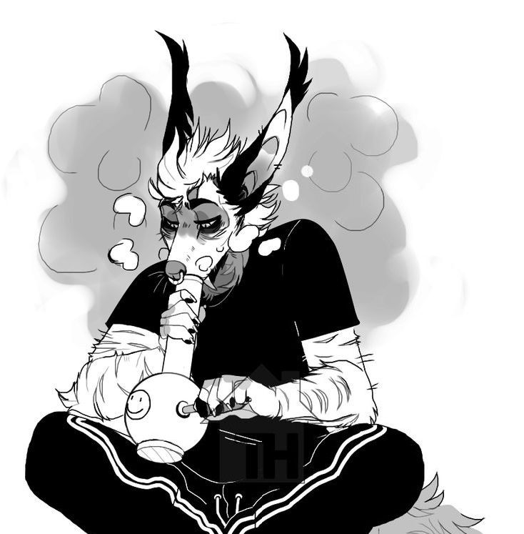 shyguy_kai OnlyFans profile picture