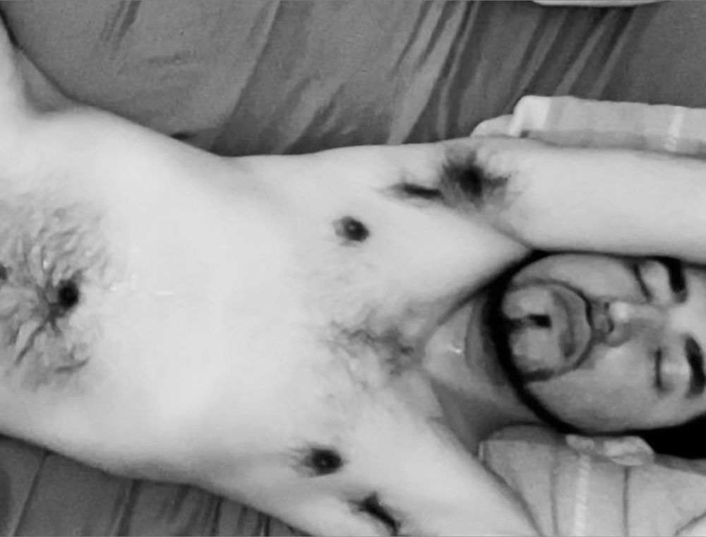 mannystallion OnlyFans profile picture