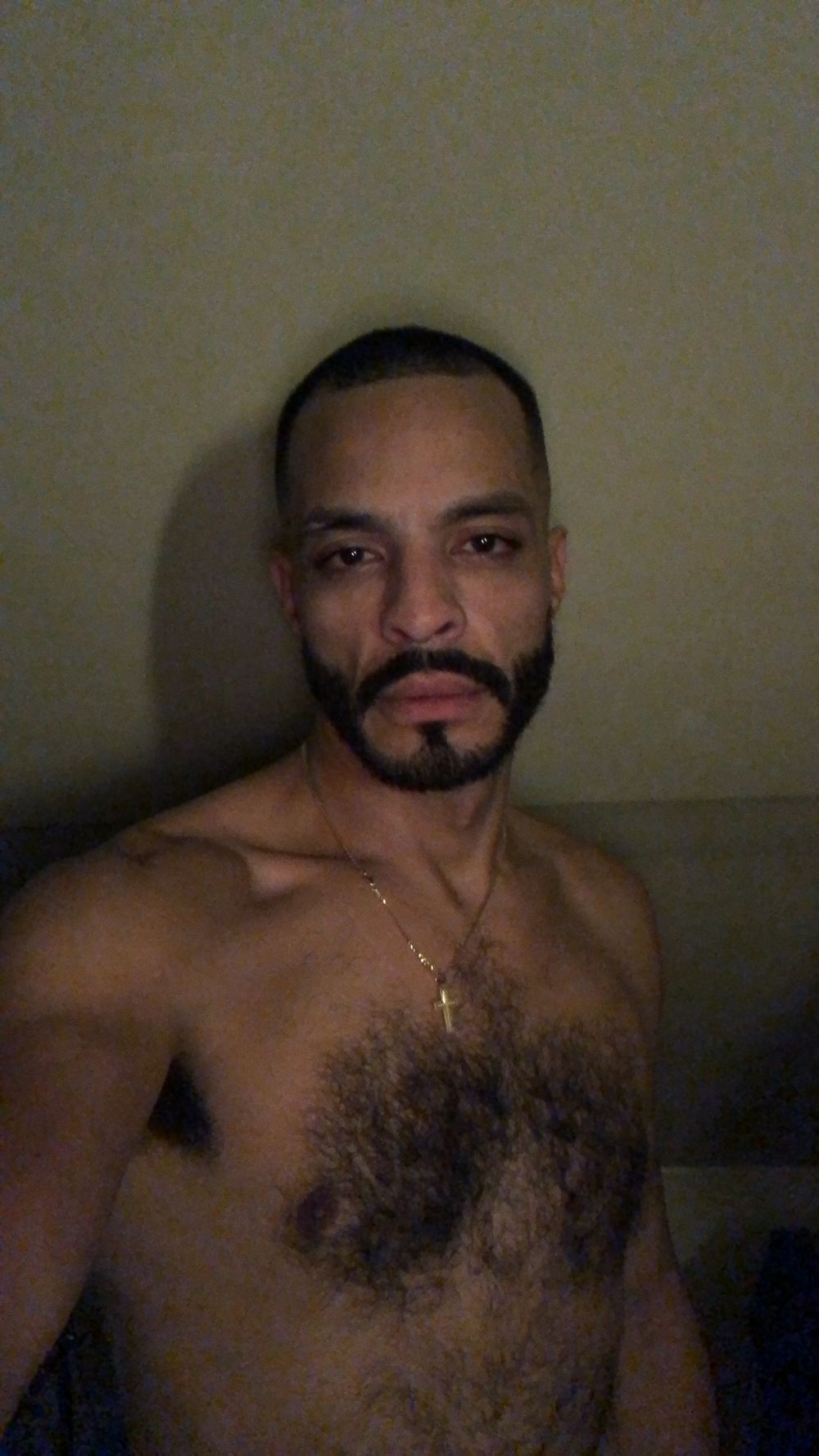pr4unme OnlyFans profile picture