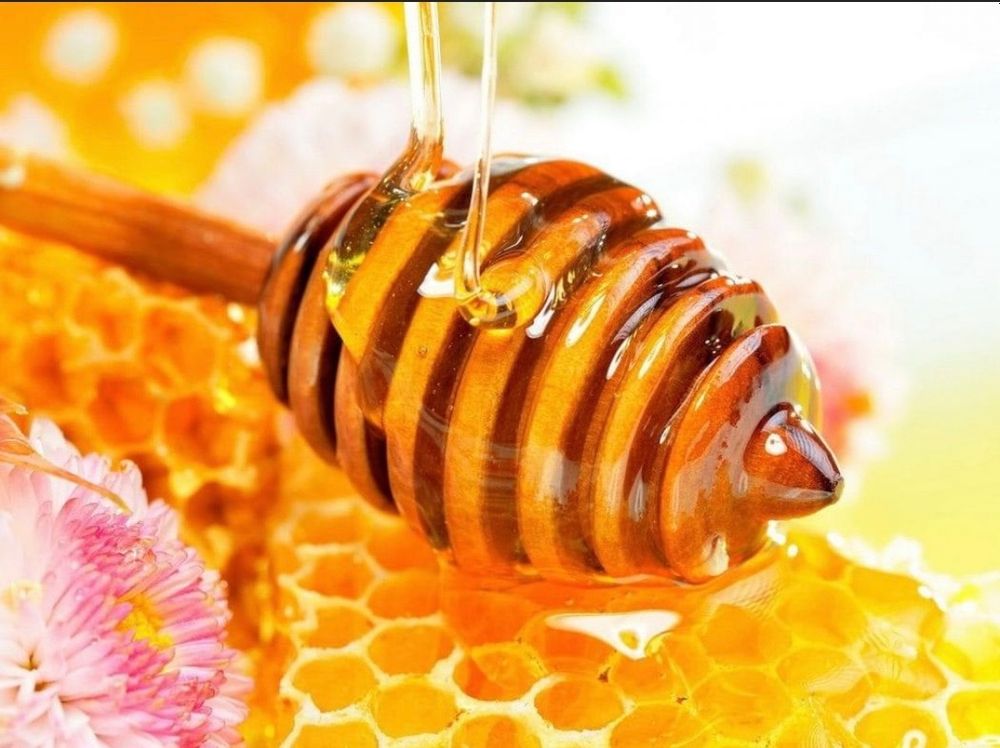 theykravehoney OnlyFans profile picture