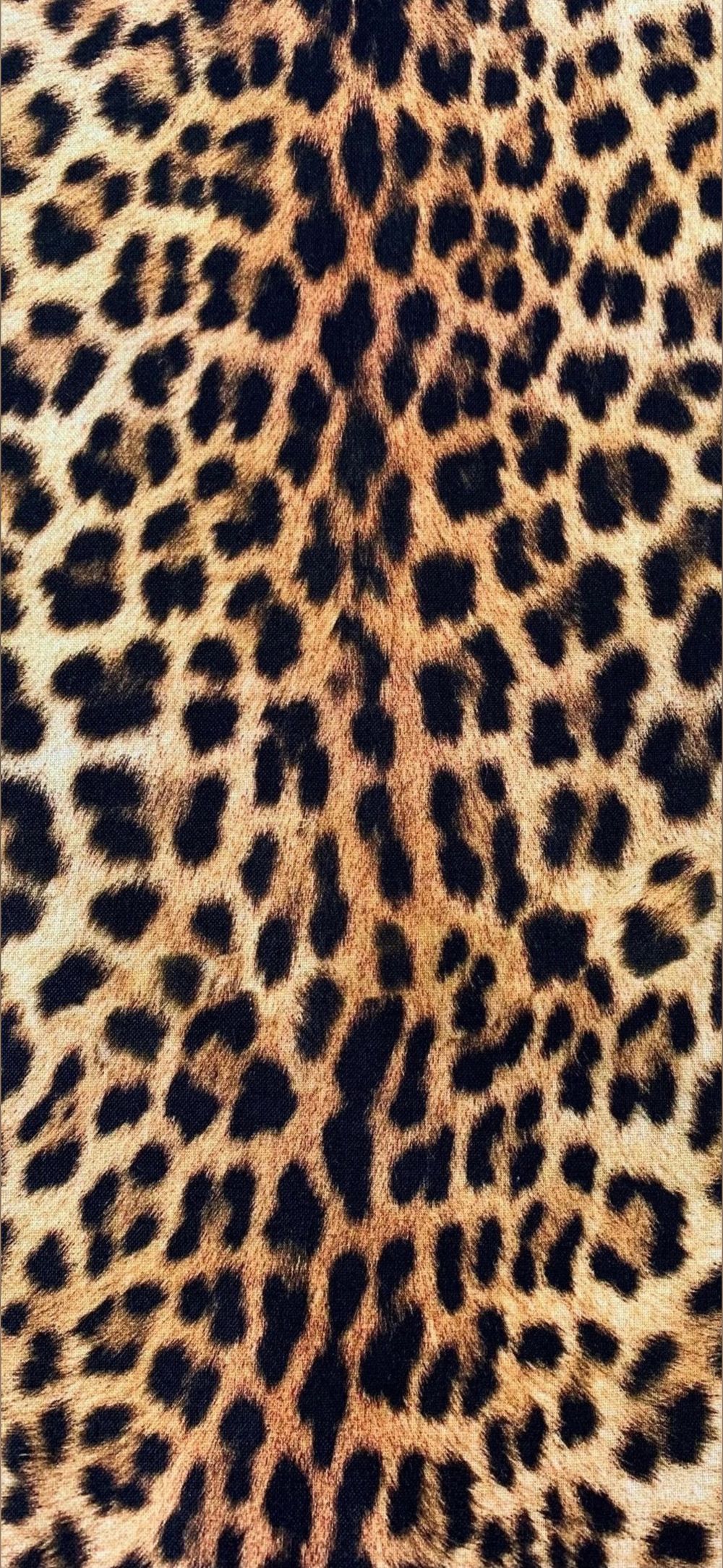 badassslexx OnlyFans profile picture