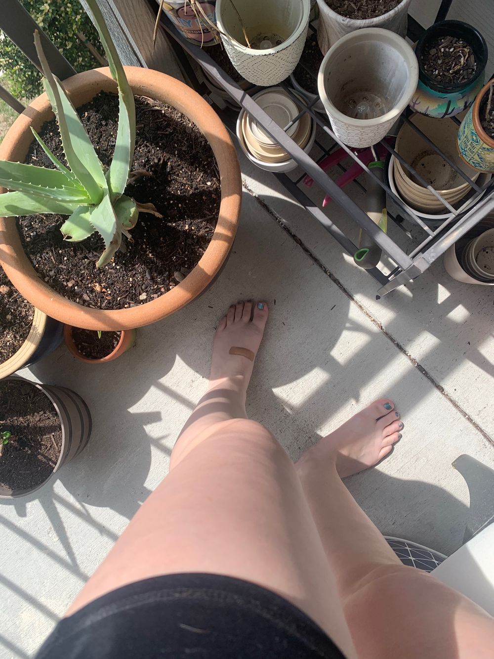 thecheekykitkat OnlyFans profile picture