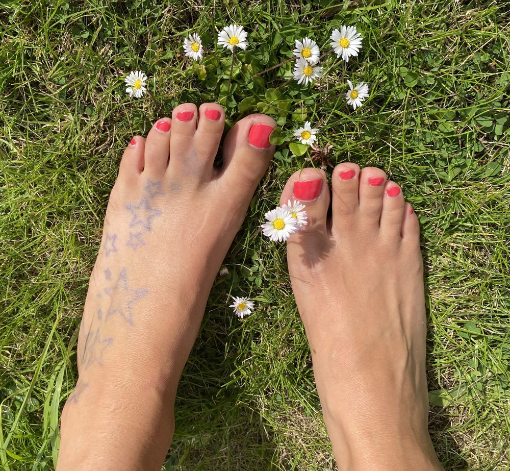 wwebbedtoes OnlyFans profile picture