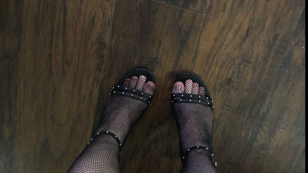 lilystormcrow OnlyFans profile picture