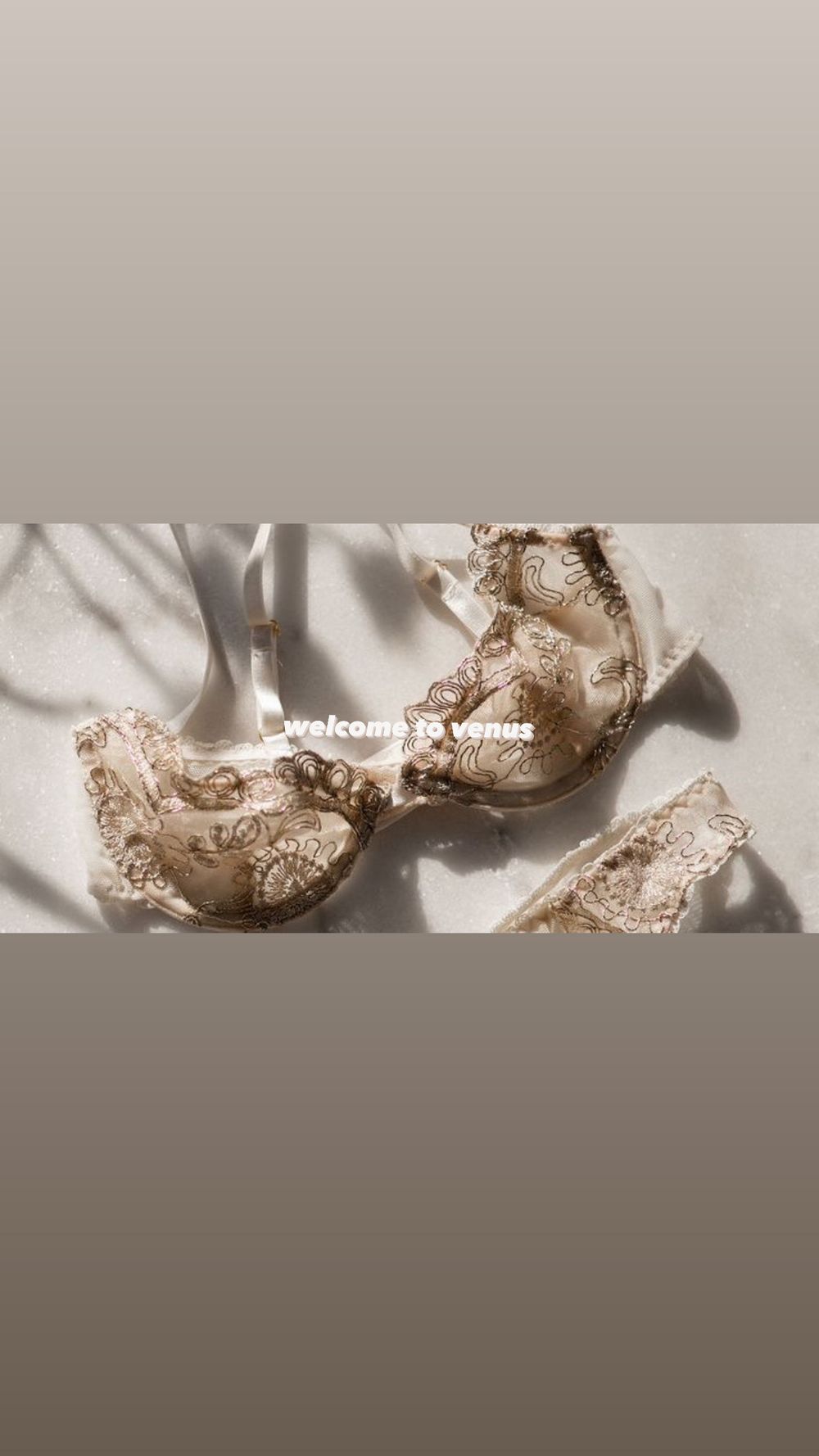 whatwouldvenusdo OnlyFans profile picture