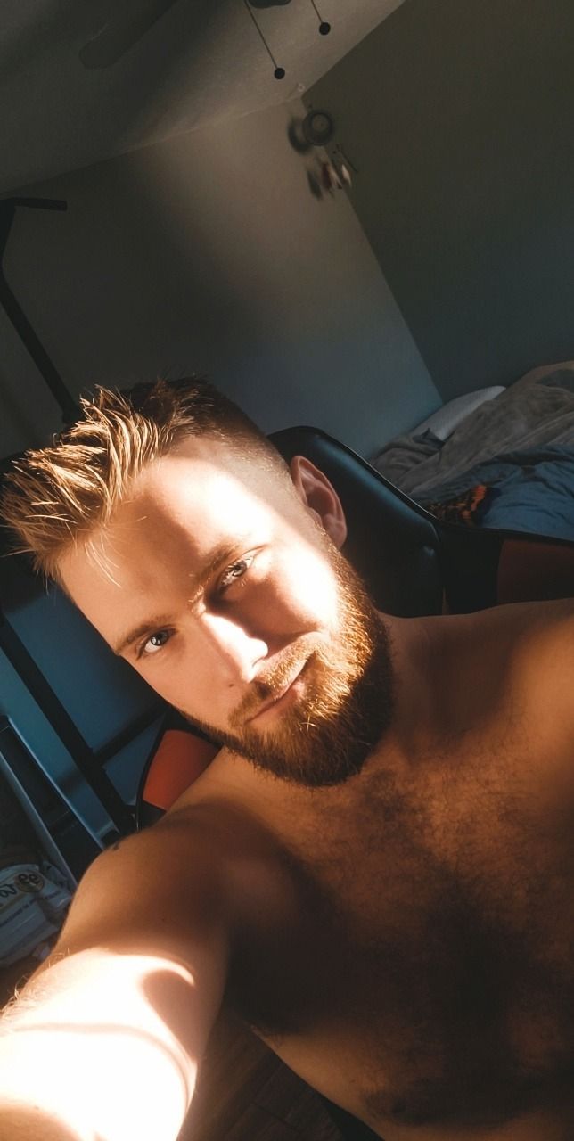 fr3ncht0ast OnlyFans profile picture