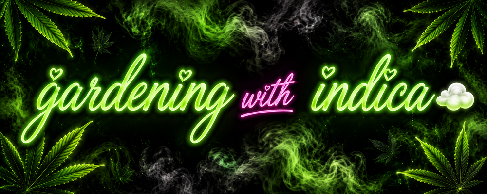 indicagreen OnlyFans profile picture