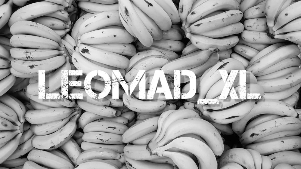 leomad_xl OnlyFans profile picture