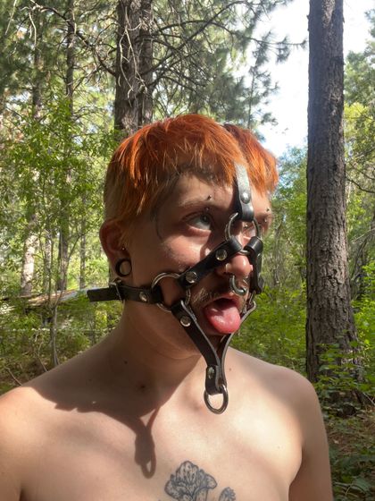 tranarchopup OnlyFans picture