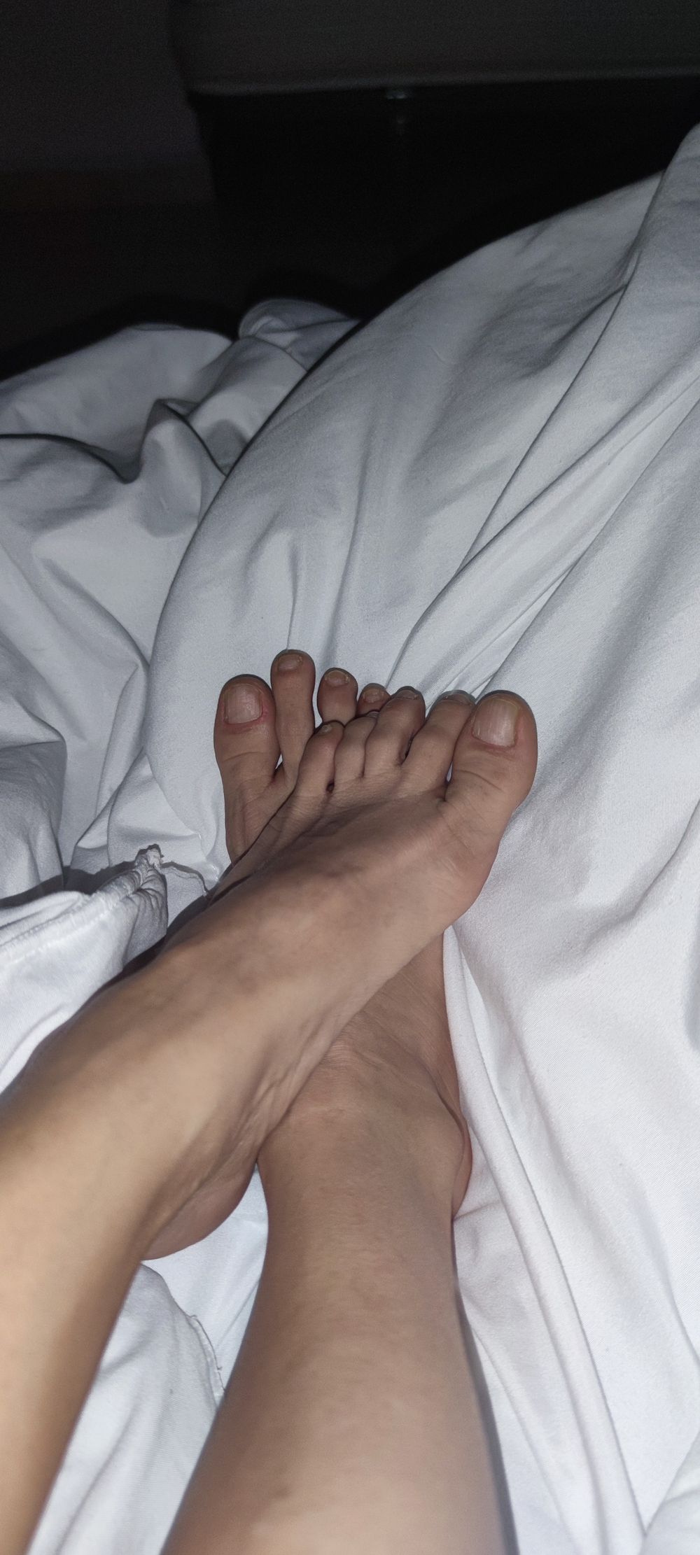 lovelarisa OnlyFans profile picture