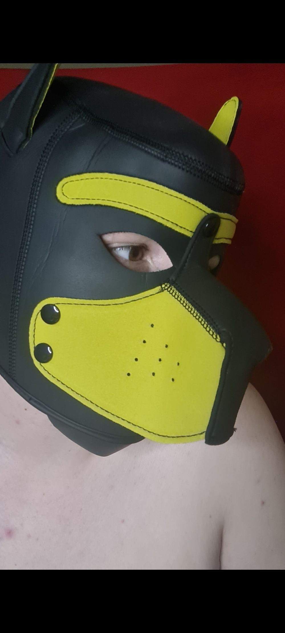 parkerthepuppy OnlyFans profile picture