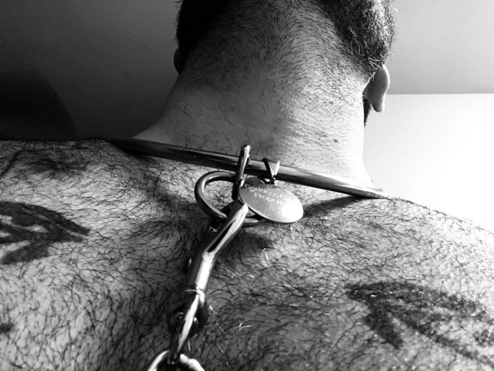 sub_alan OnlyFans profile picture