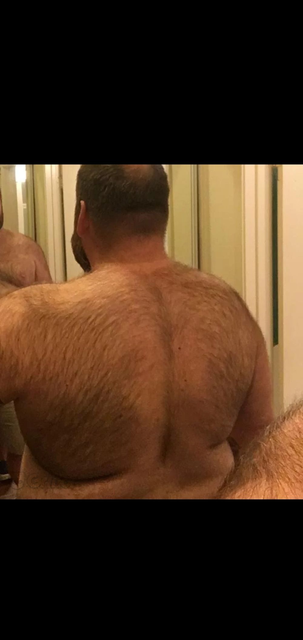 sirbearbear OnlyFans profile picture