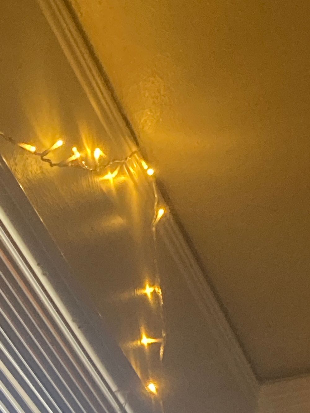 thejoyouswench OnlyFans profile picture