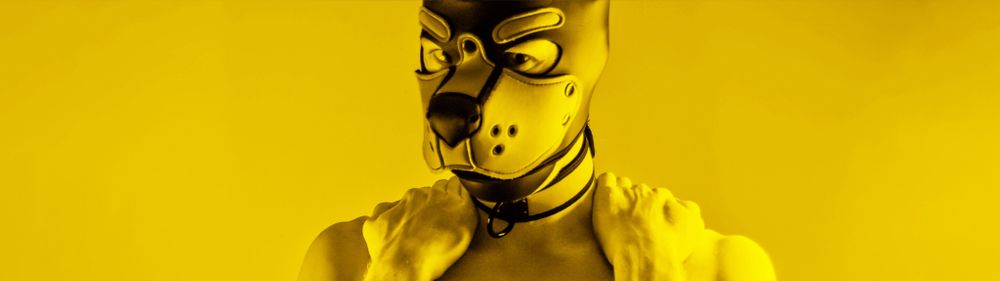 pup-aurora OnlyFans profile picture