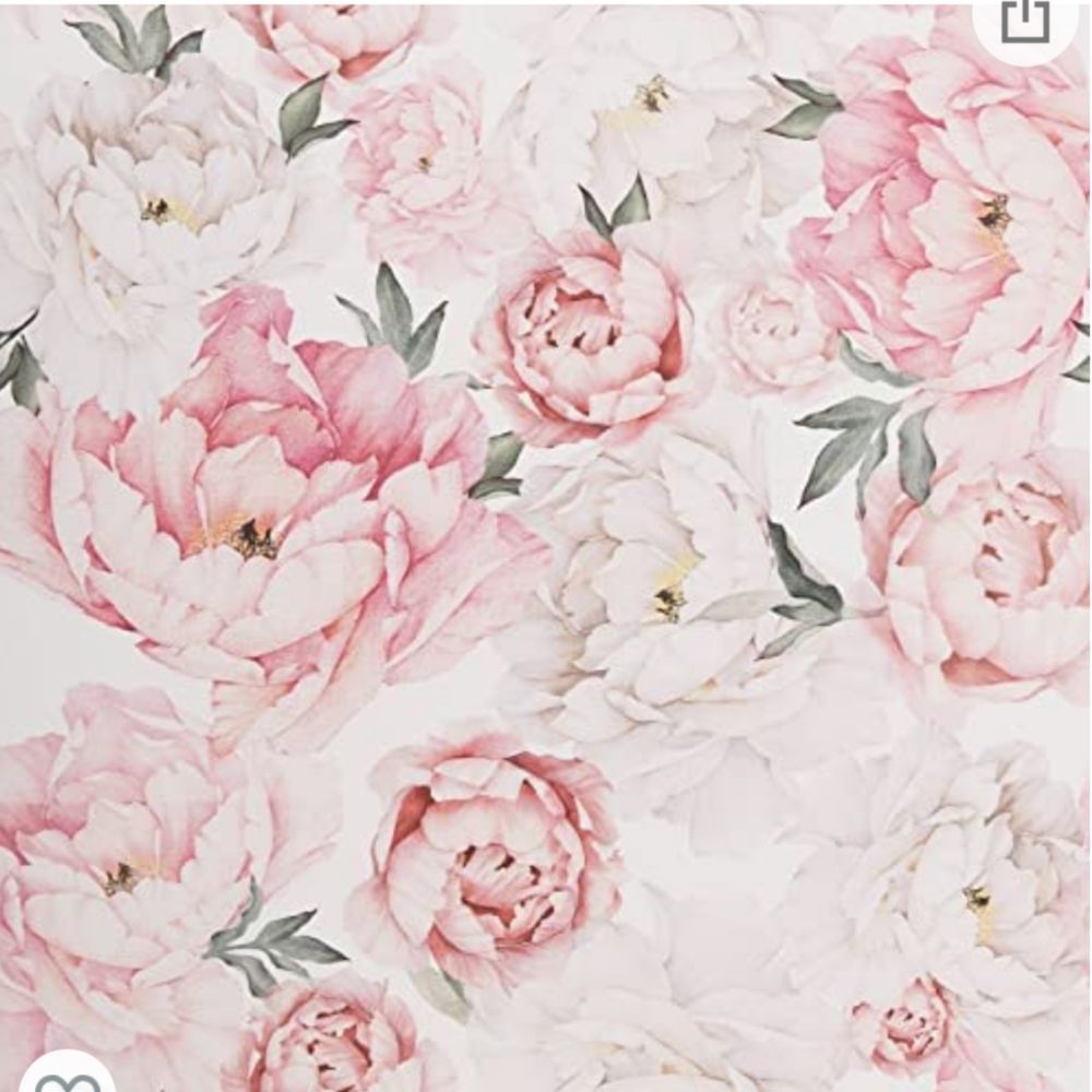 raindropsandrosess OnlyFans profile picture