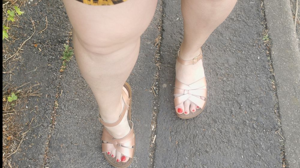 ladylousfeetfun OnlyFans profile picture
