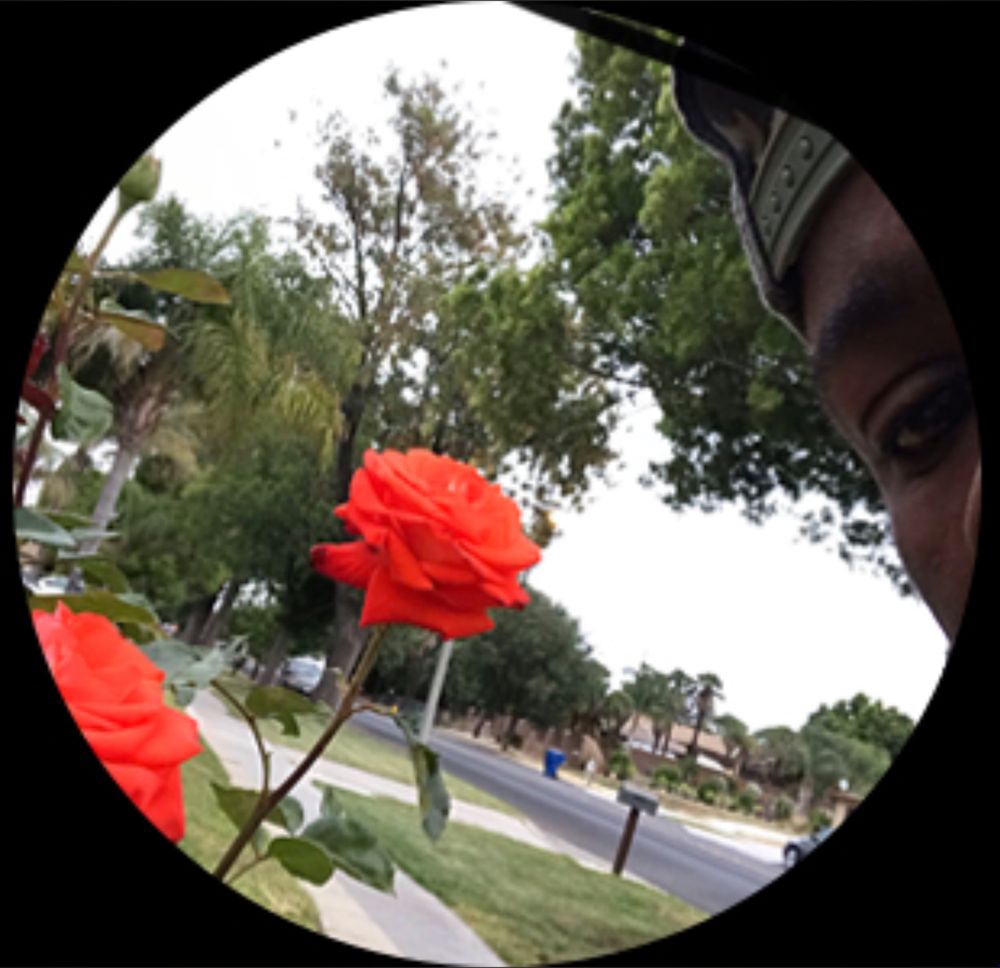 mysunny_tsunami OnlyFans profile picture