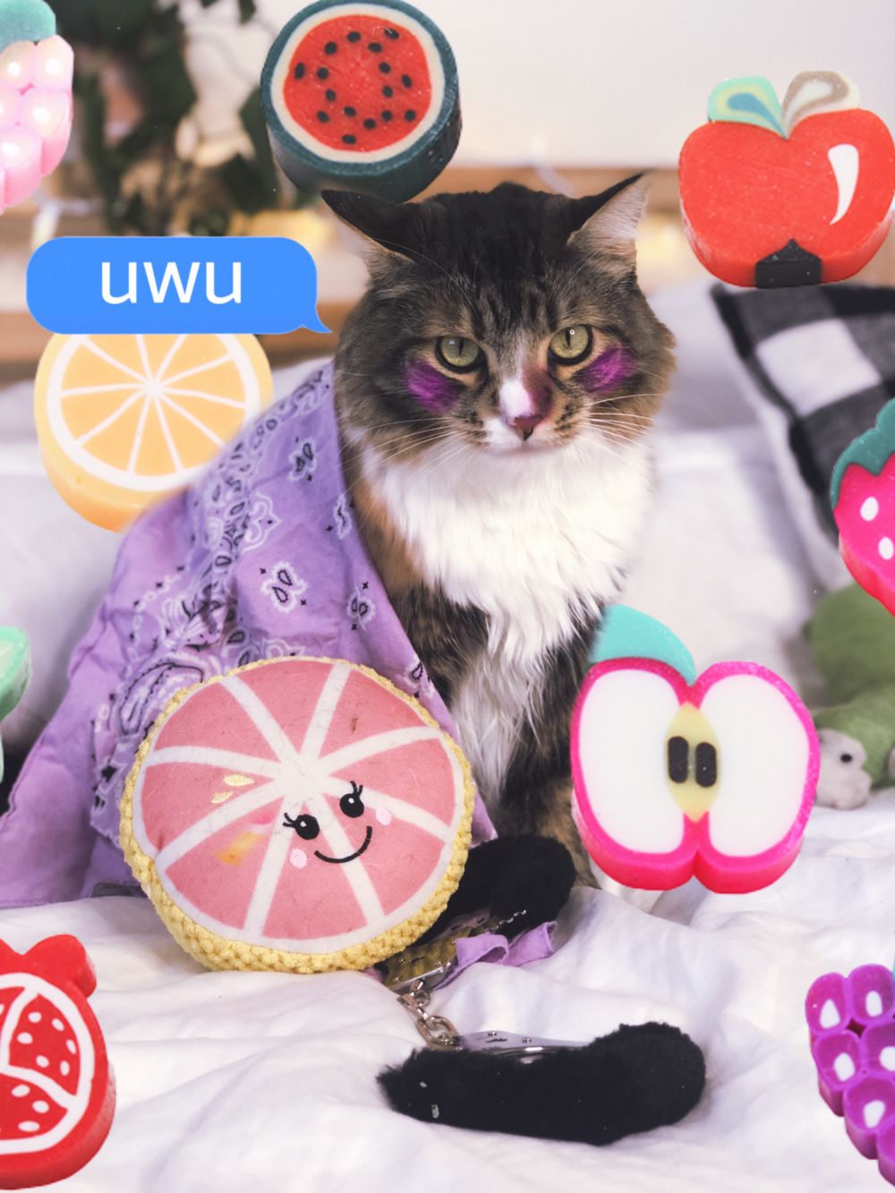 clementineuwu OnlyFans profile picture